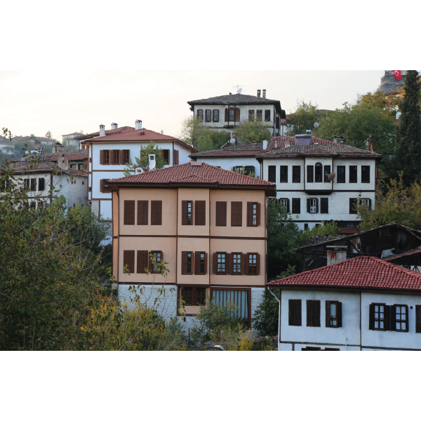 Mevlüt Can Koçak